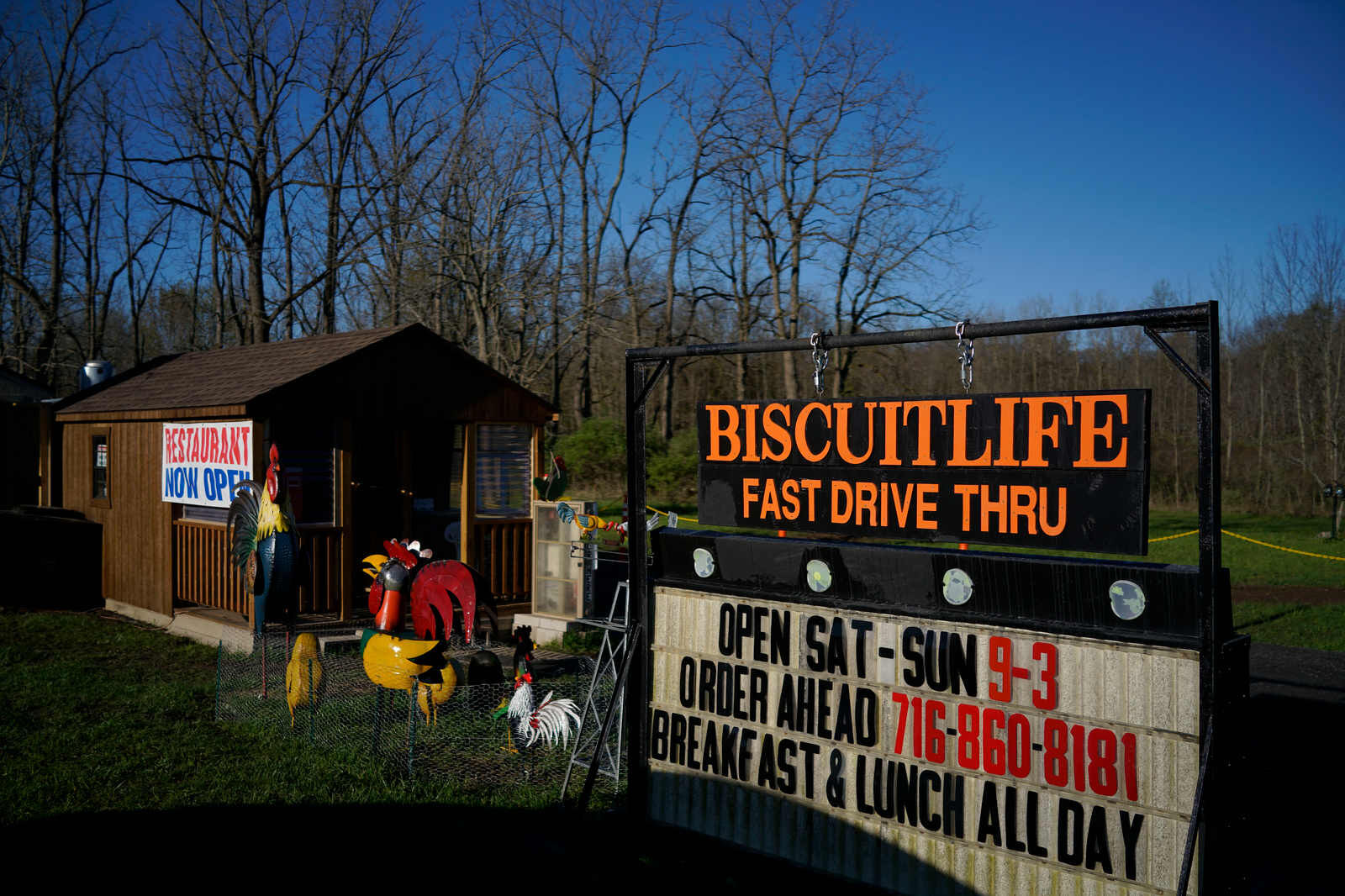Biscuit Life